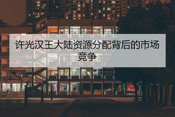 许光汉王大陆资源分配背后的市场竞争